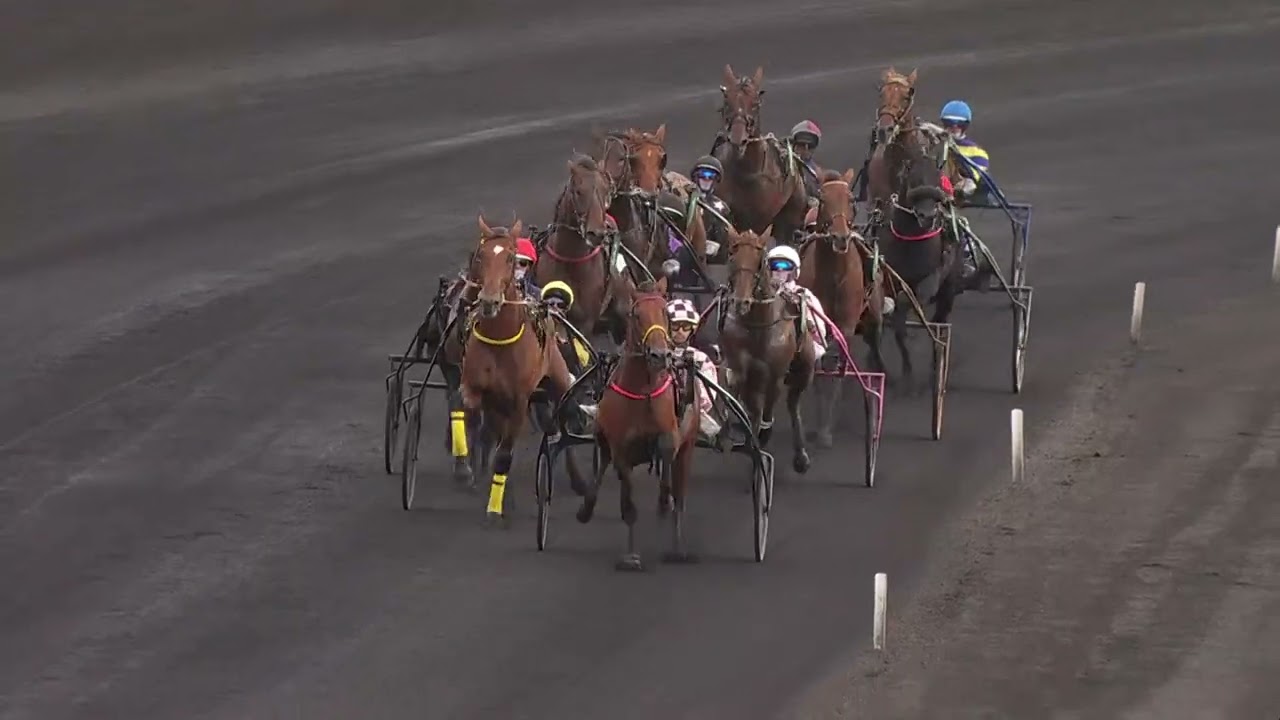 PRIX GASTON BRUNET - CRITERIUM DES 4 ANS Q3