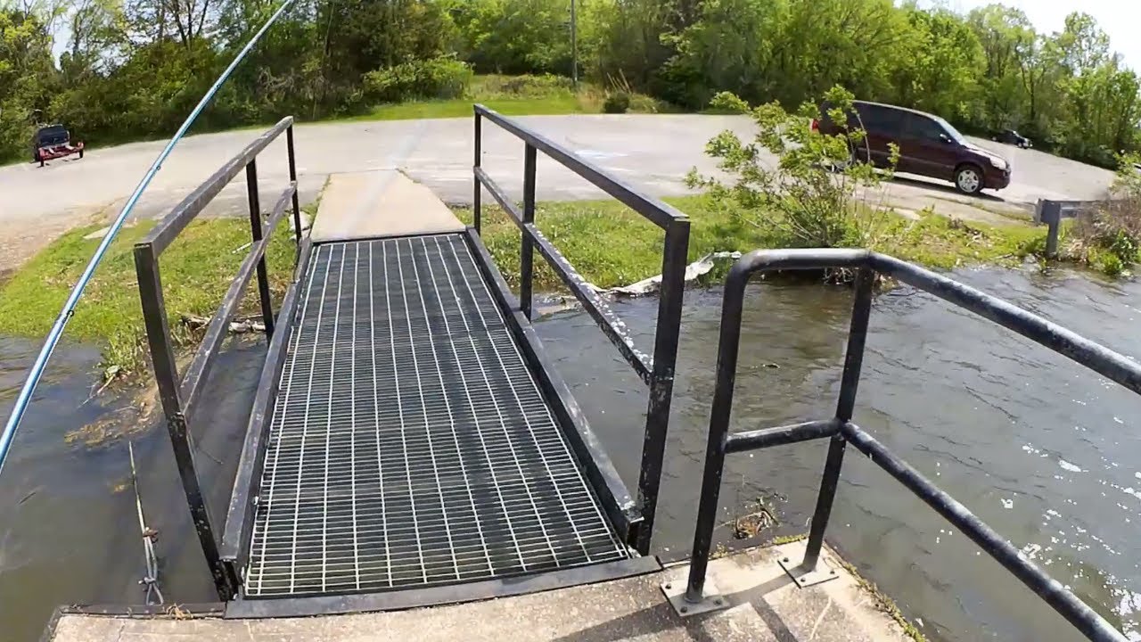 Bass Fishing With Texas Rigs and Jerkbaits (Public Fishing Park)