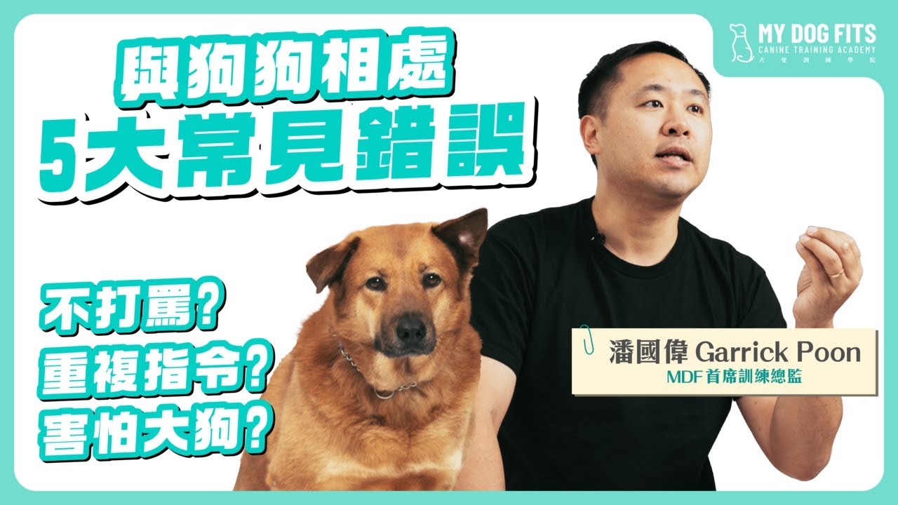 與狗狗相處🐶五大主人常見錯誤｜重複指定？怕大狗？用力收繩？犬隻訓練師教你正確方法！（上）｜MDF