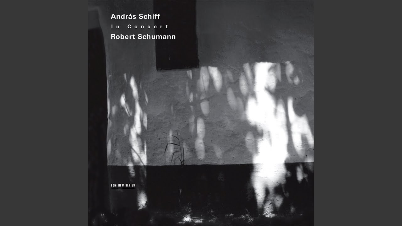 Schumann: Novelletten, Op. 21: VIII. Sehr lebhaft