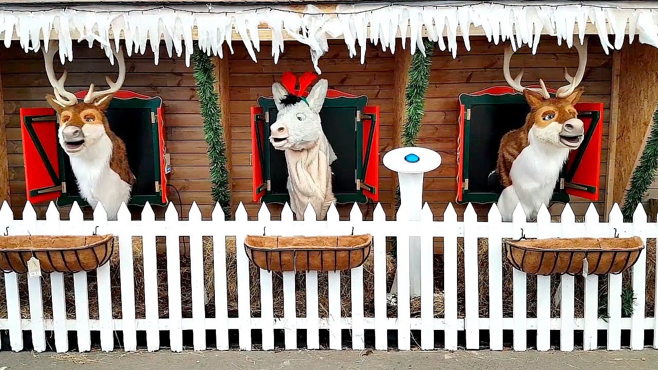 Amazing real reindeer singing Christmas carols