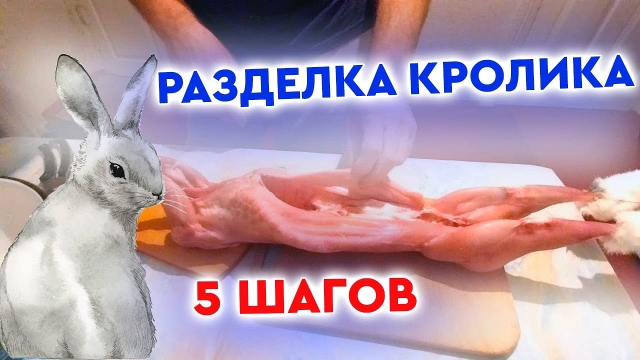 Разделка кролика за 5 ШАГОВ!
