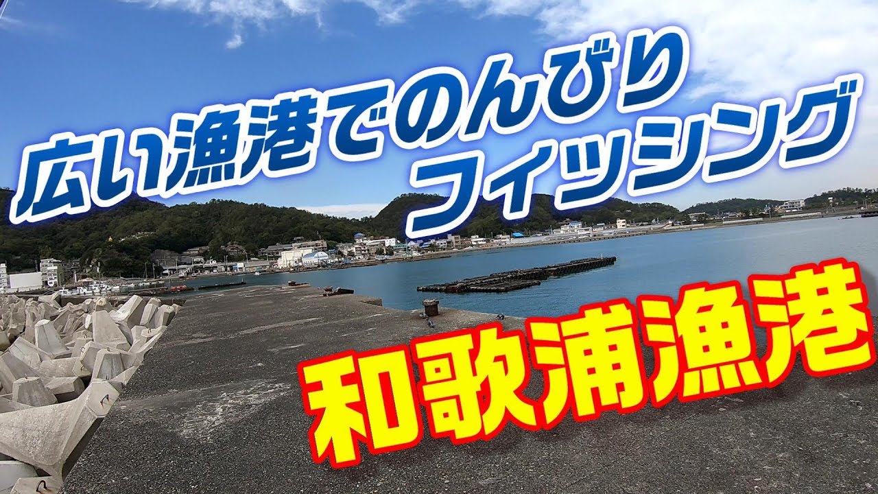 【釣り実況】和歌浦漁港の紹介　和歌山県の広々漁港