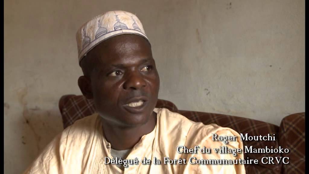 Les forêts communautaires et le FLEGT au Cameroun