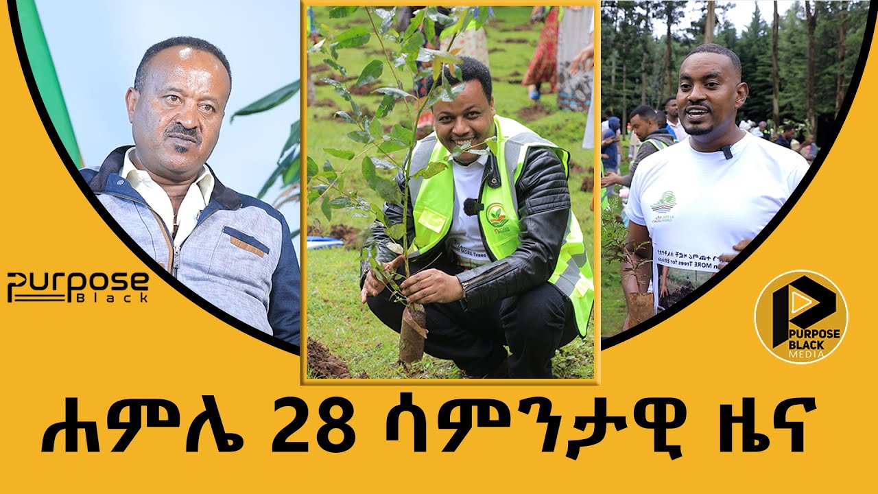 ሳምንታዊ ዜና | ሐምሌ 28 2016 ዓ.ም. የፐርፐዝብላክ ኢትዮጵያ ሳምንታዊ ዜና።
