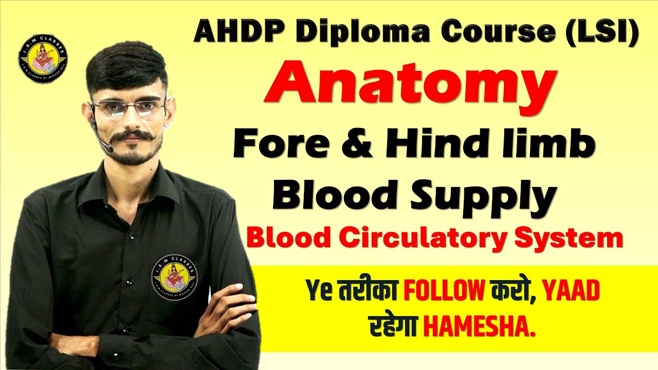 Fore & Hind Limb Blood Supply | Blood Circulatory System in Animals | AHDP (LSI) Anatomy