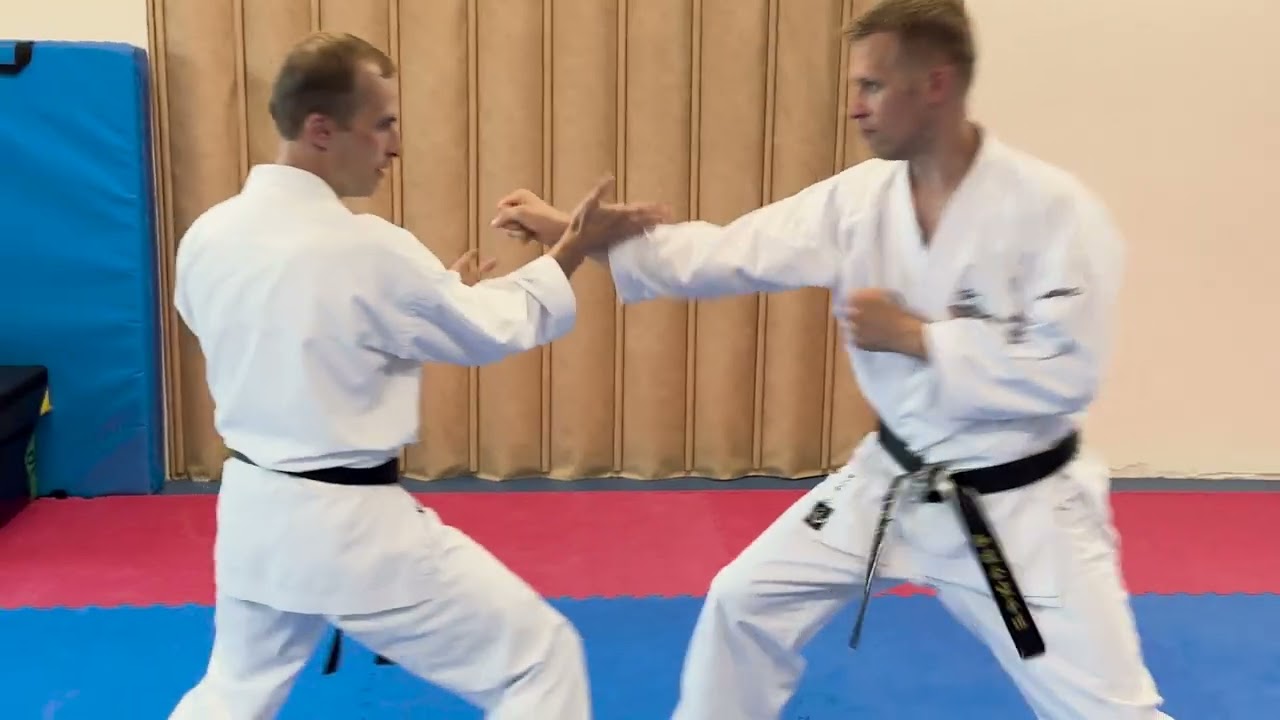 Tule karate trenni! Jaapani võitluskunst, enesekaitse, koordinatsioon, tasakaal