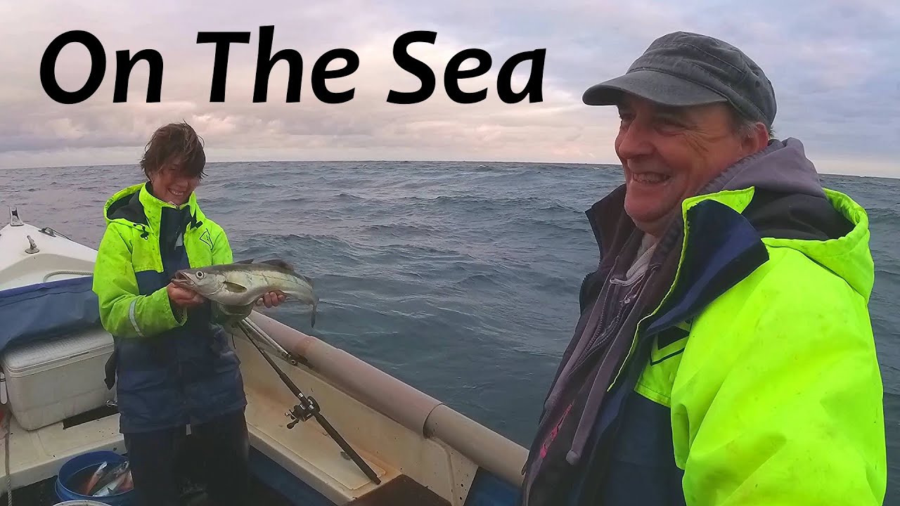Out On The Sea A Mackerel & Octopus Day