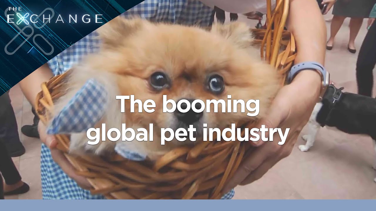 Pet Industry soars in growth | The Exchange