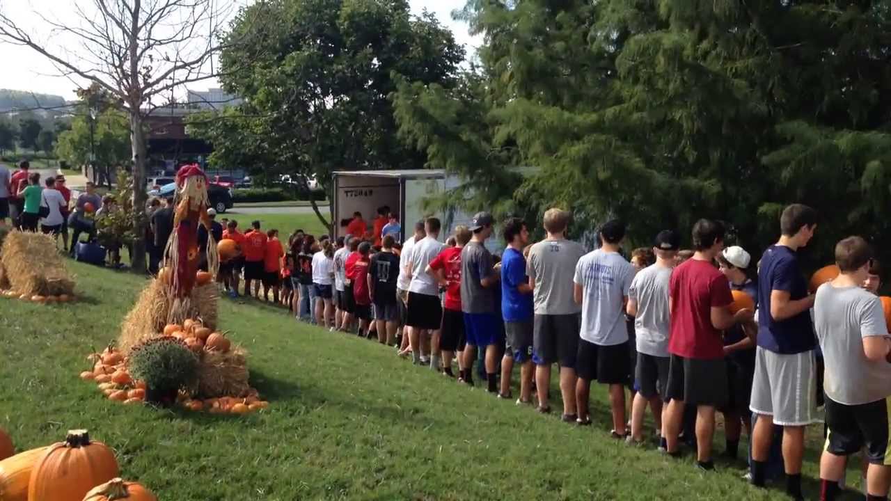 Pumpkin Unloading in Action