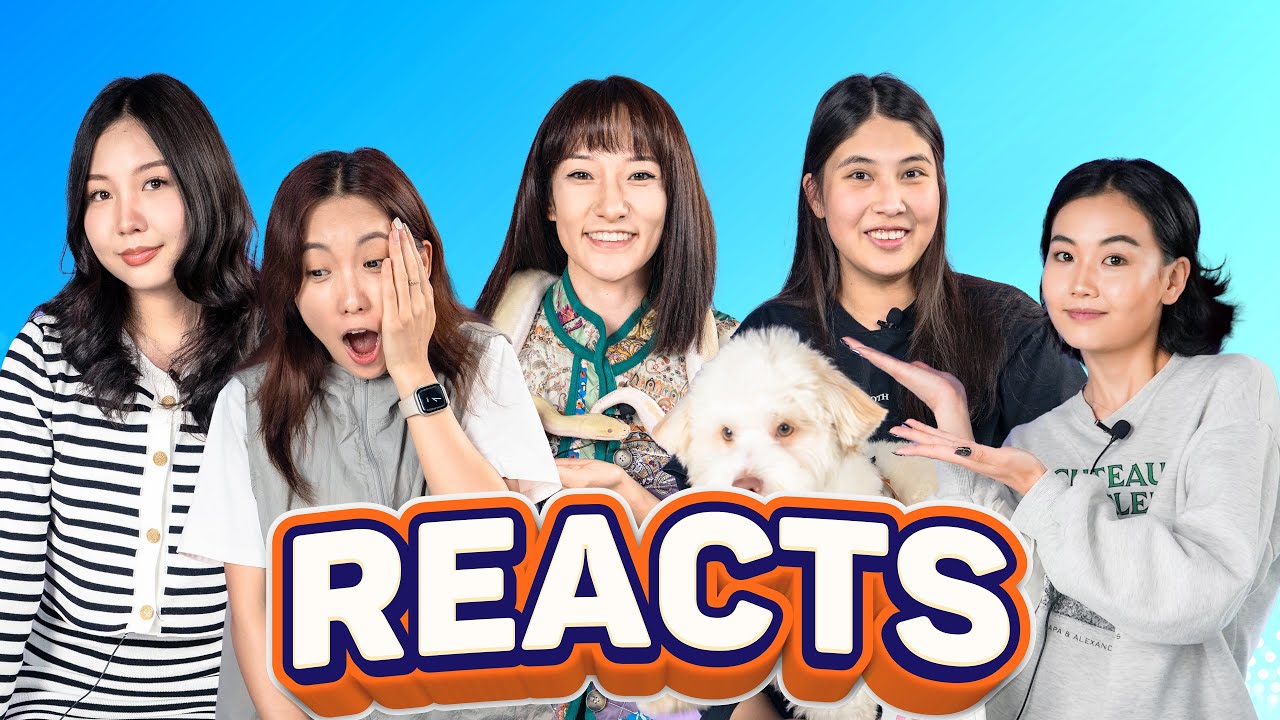 anhiluuwan, yesunnn, nouuminsta, dayannke, abby___8___ | REACTS #4 | S2