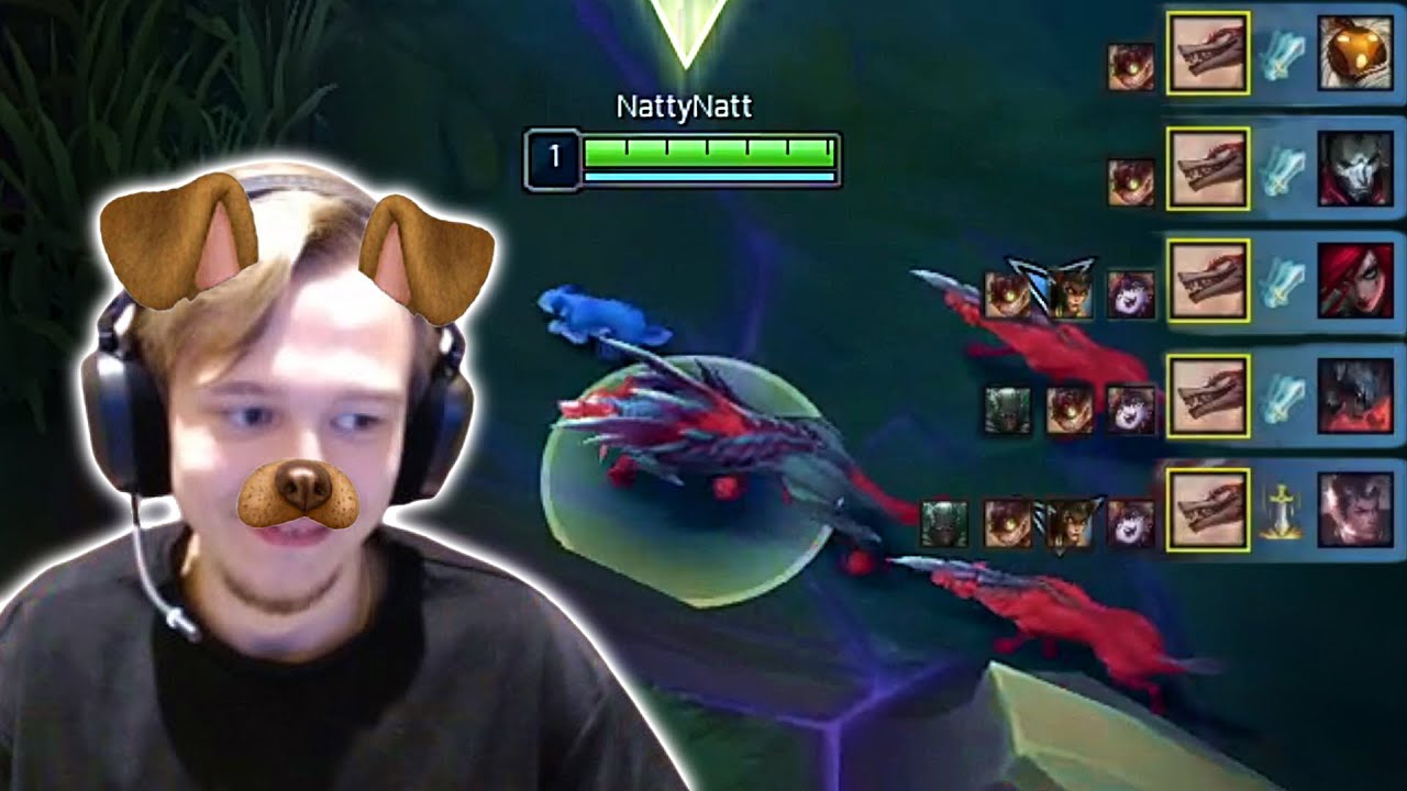 WHO LET THE DOGS OUT