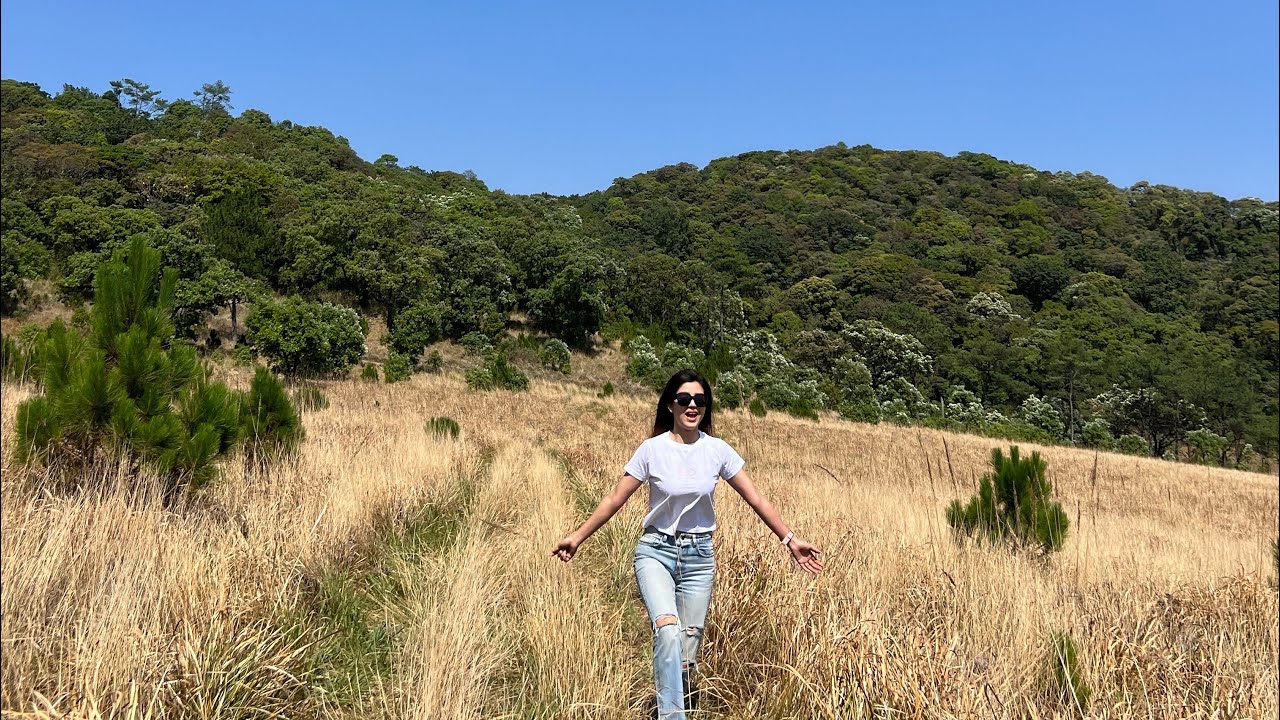 A day at the highest mountain in Mizoram Phawngpui Tlang(Blue Mountain)