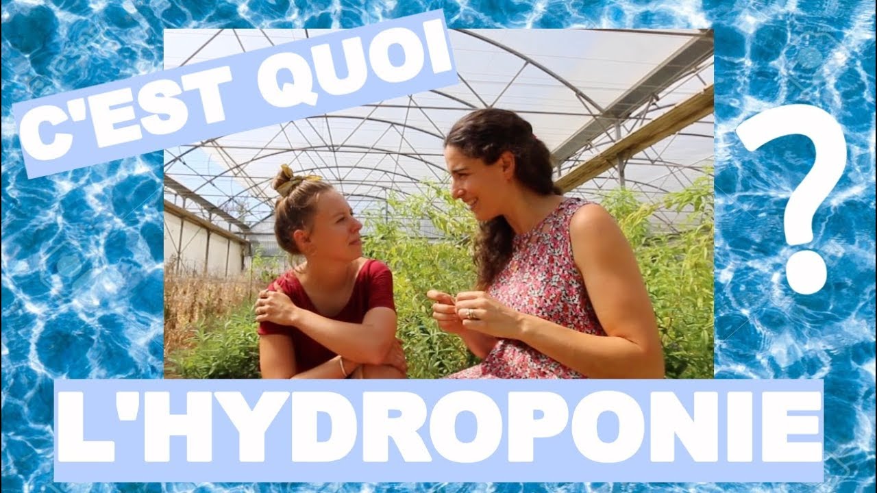 C'EST QUOI L'HYDROPONIE ? (feat. LES SOURCIERS)