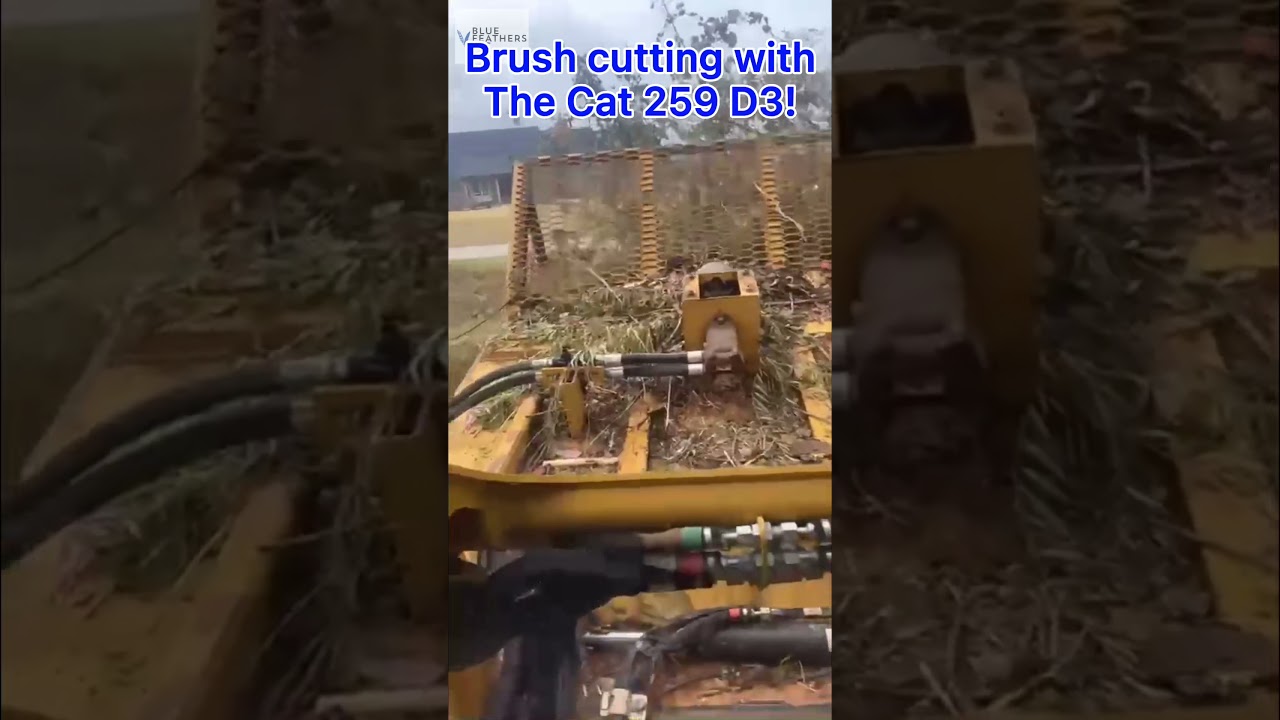 Brush cutting with a #brushmonster 72 inch. #Cat 259 D3