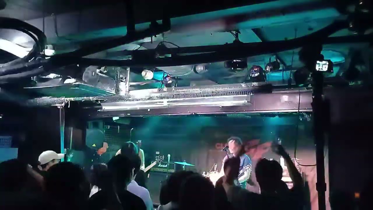 해리빅버튼 홍대공연
