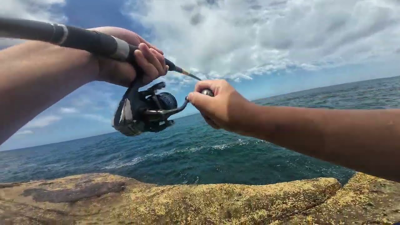 Catching a Kingfish: The Ultimate Sydney Adventure