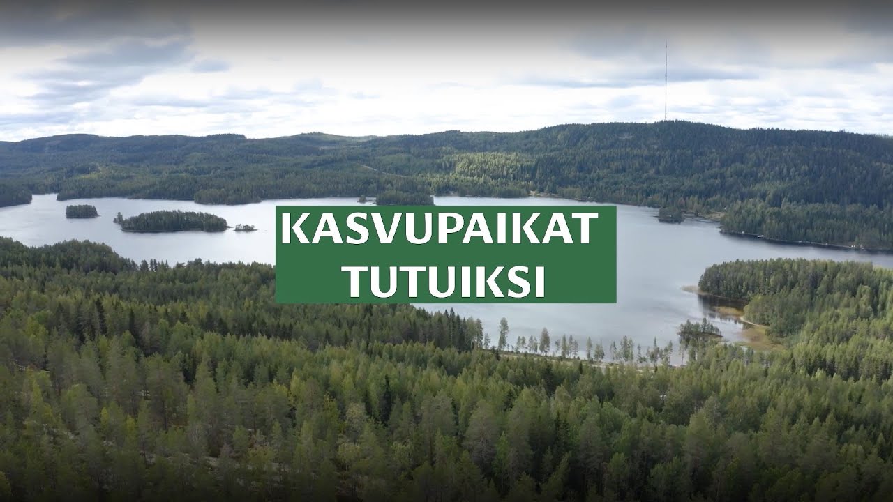 Kivennäismaiden metsien kasvupaikkatyypit lyhyesti