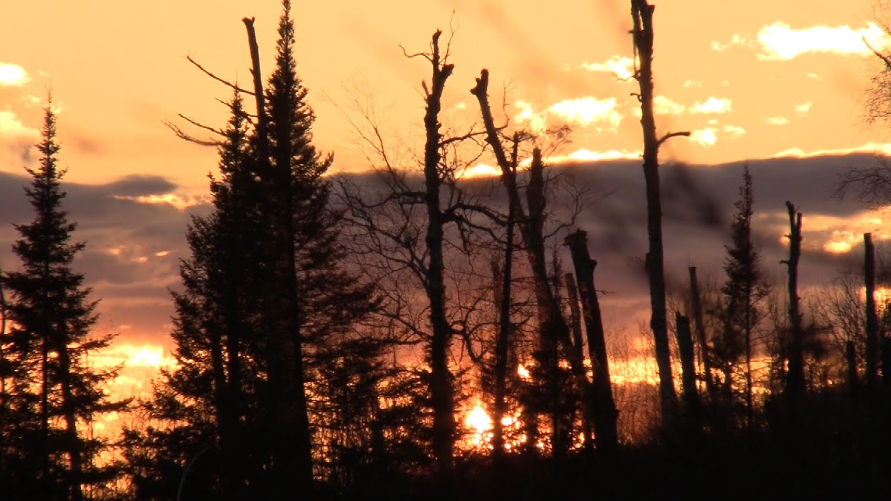 Whippoorwill Hill - Ambient Nature