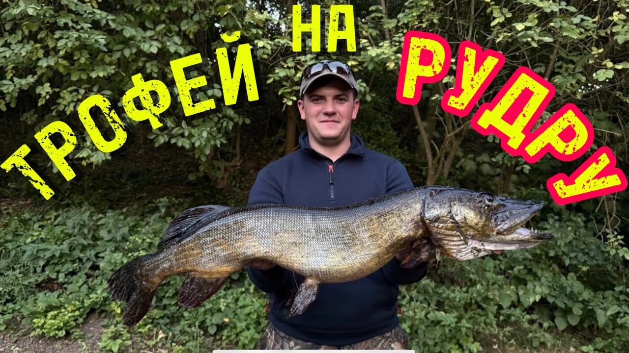 Охота за осенней щукой | Трофей, который не забуду!
