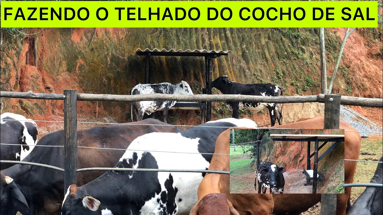 FAZENDO O TELHADO DO COCHO DE SAL DO SEMI CONFINAMENTO.