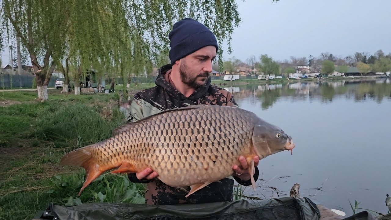 Lacul Hermes Periș- pescuit la crap stand 22 - aprilie 2025  #hermes #peris #pescuitlacrap #carp