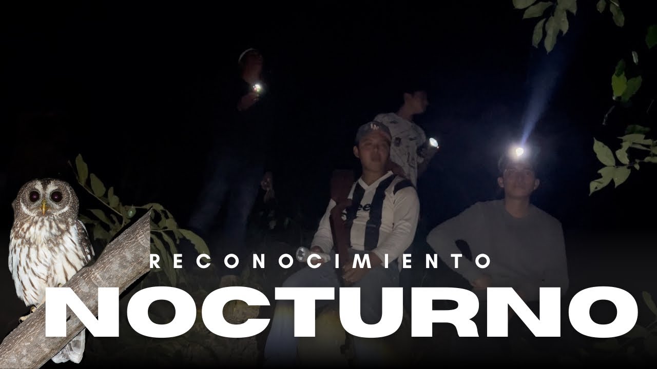 LA VIDA NOCTURNA DE LOS CAZADORES!!!!😱