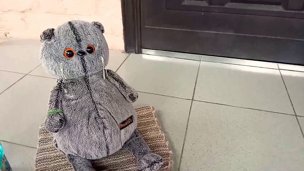 Обзор всей одежды Басика!🐱