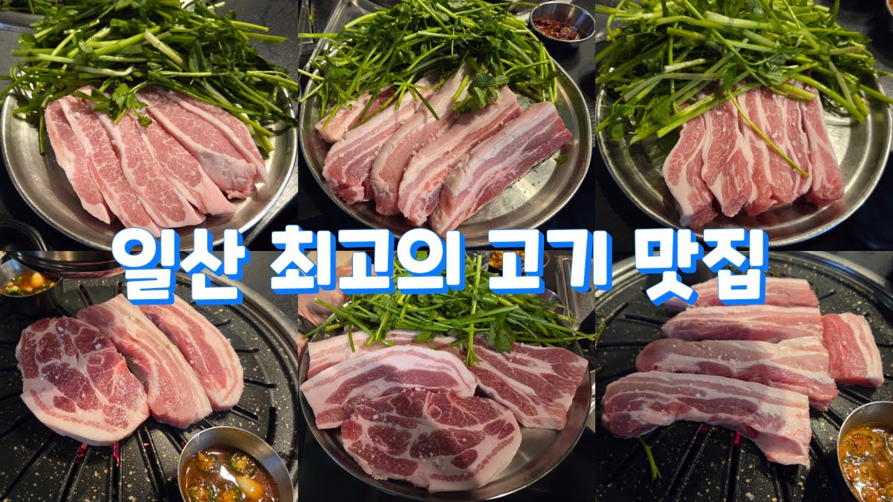 장사가 너무 잘 되서 계속해서 확장 중인 고기 맛집입니다! Meat restaurant, Korean food #탐라돗 #일산맛집 #백석동맛집 #삼겹살맛집 #고기맛집 #일산고기집