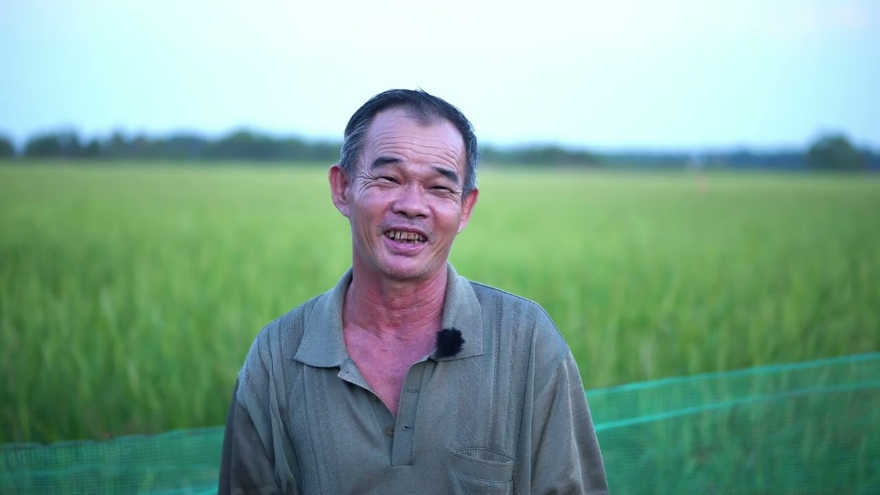 Phim phóng sự 