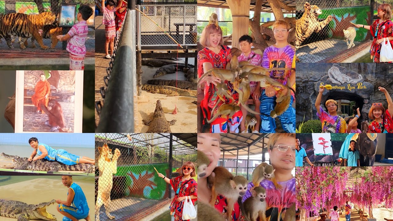 泰國自駕-獅子王動物園大城動物園  喂老虎 大象秀 鱷魚秀 必玩金絲猴拍照。 第二部影片 Sriayuthaya Lion Parkศรีอยุธยา ไลอ้อน ปาร์ค