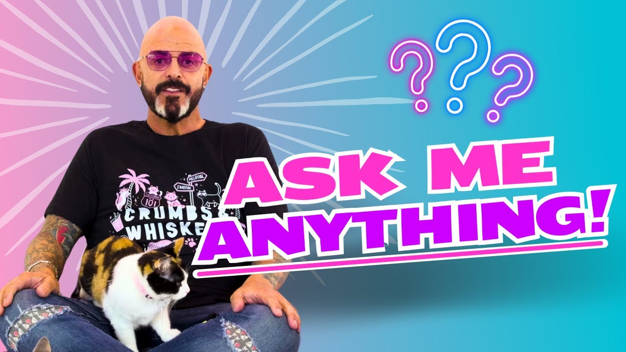 How many cats is too many? Do I even like dogs? and MORE!