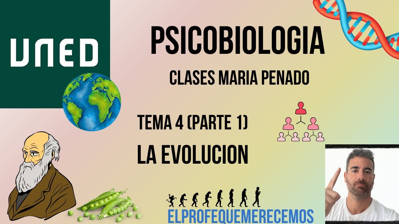 Psicobiologia UNED: TEMA 4 - parte 1 (Maria Penado)