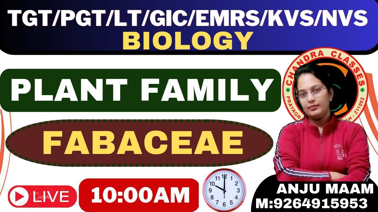 FAMILY FABACEAE || PLANT FAMILY || TGT,PGT,LT,GIC || BY ANJU MAM