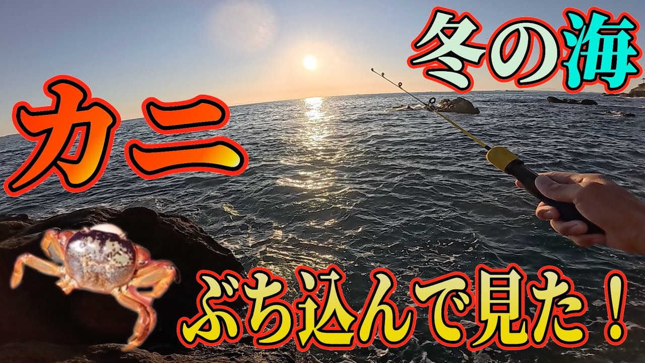 万能エサ「カニ」は冬の海でも通用するのか？