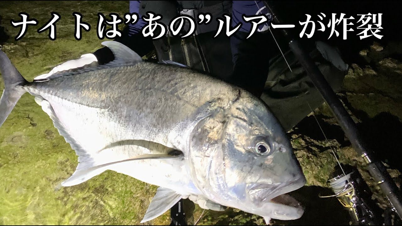 夜釣りでフローティングミノーに”ある”セッティングをしたらロウニンアジが来た‼︎ 【RESPECT190F】