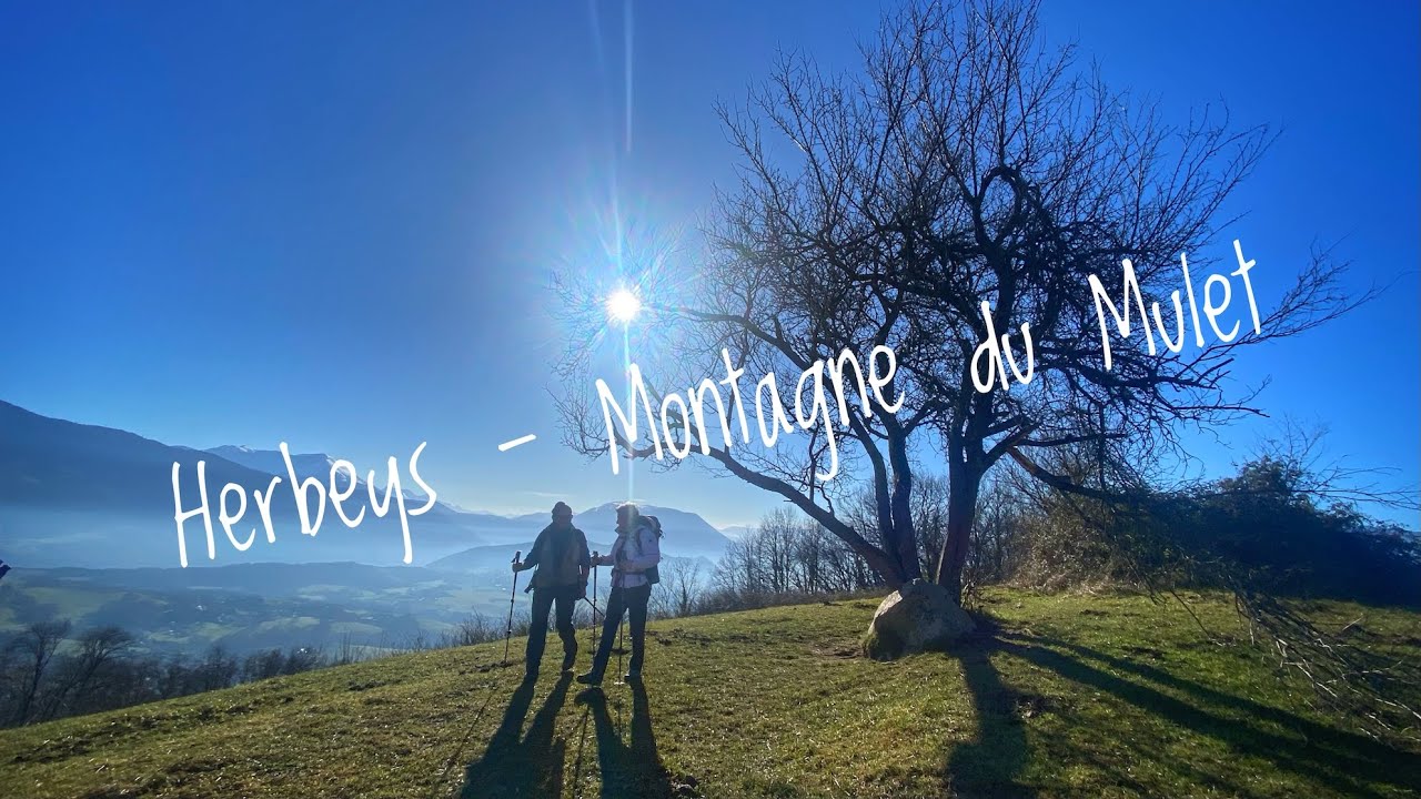 Randonnée Herbeys - Montagne du Mulet