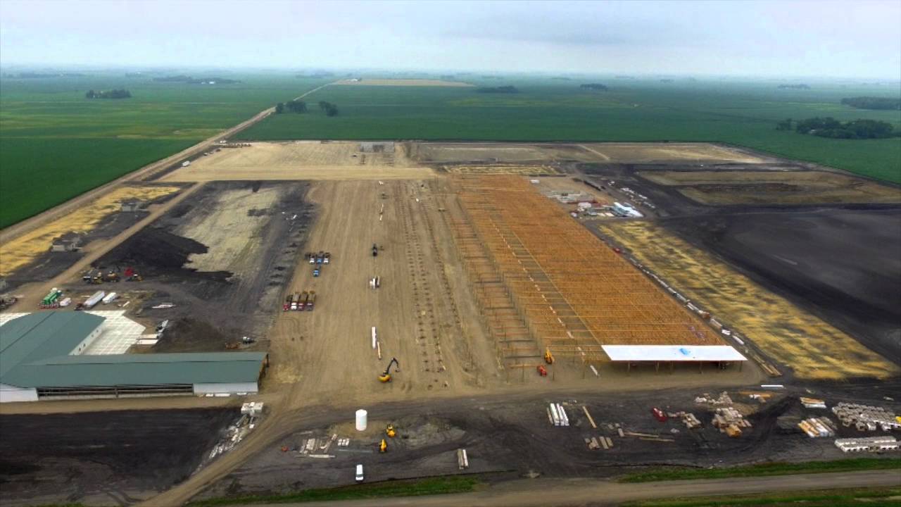Building an 8,000 head dairy in 9 months