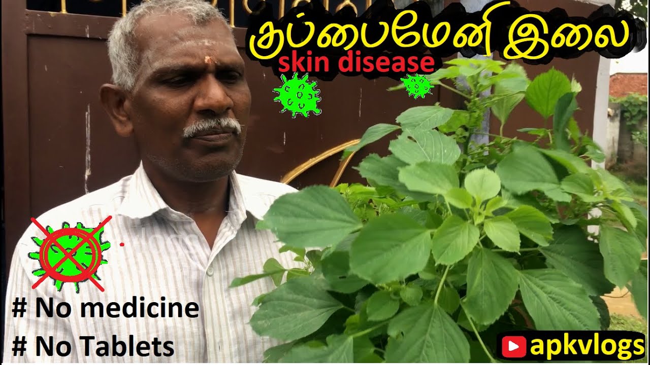 Itching skin disease | தோல் அரிப்பு | No medicine No Tablet | Simple naturalsolution | apkvlogs tips