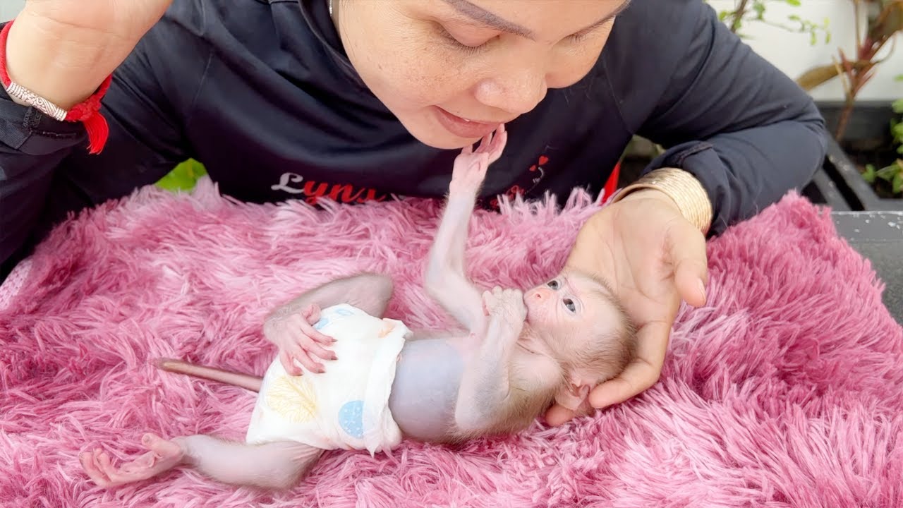 Tiny Baby Tauch Touch Mom Very Tender To Comfort Him Sleep