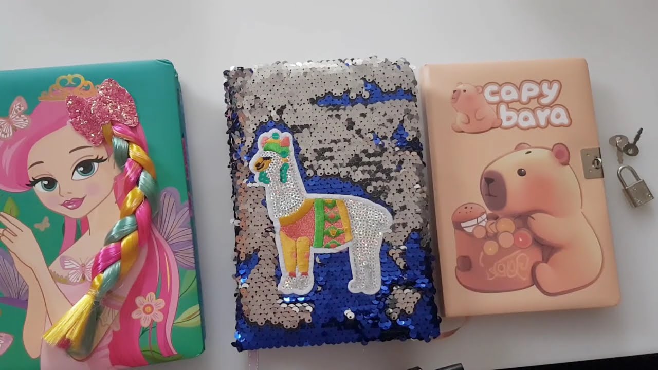 Notebooks With Plush Hair And Lock