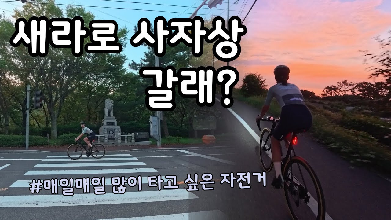 새라로 사자상 갈래?(ep.07)