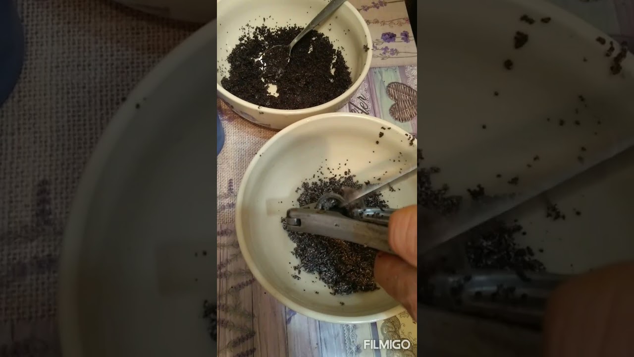 #мак #какприготовить мак для кути #как правильно приготовить мак для кути #я придумал новый метод😀