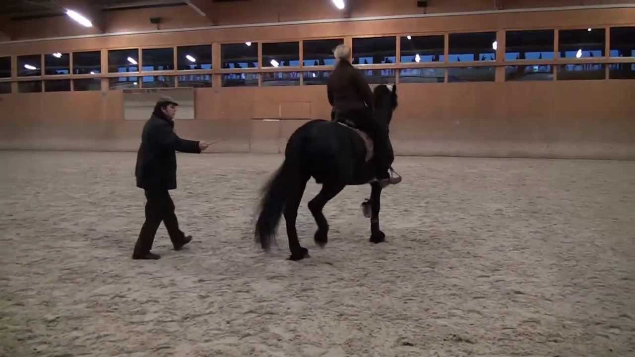 Reitstunde mit Dr R Stodulka
