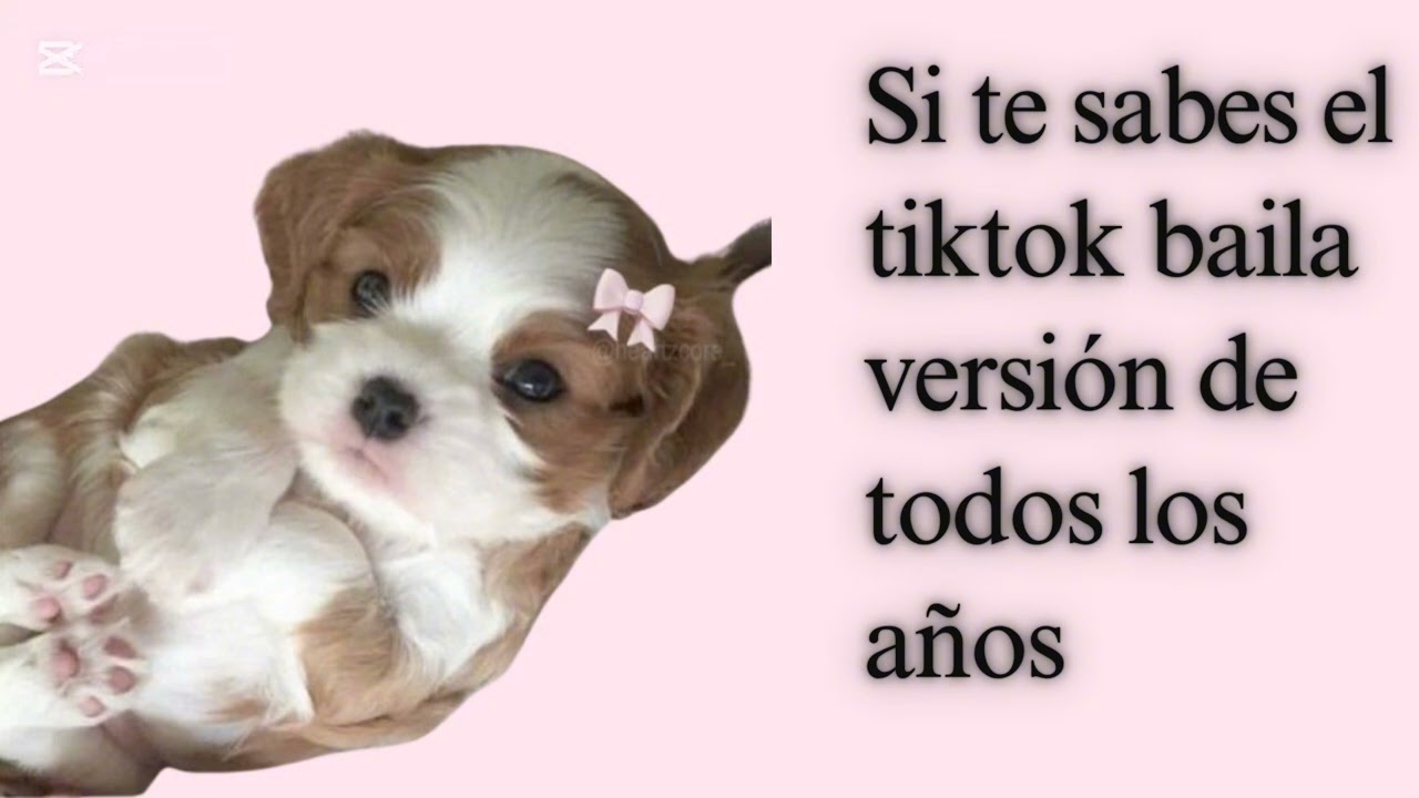 Si te sabes el tiktok baila🧞🧞