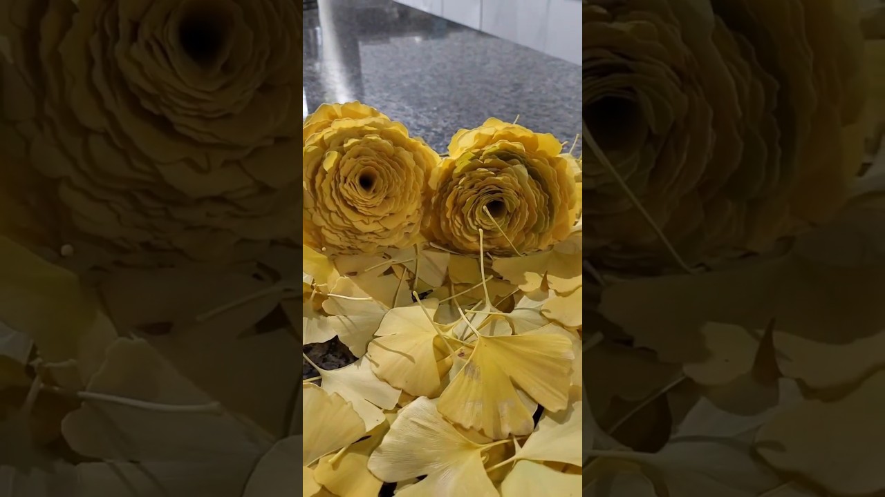 Creating_Making Rose from Ginkgo Leaves