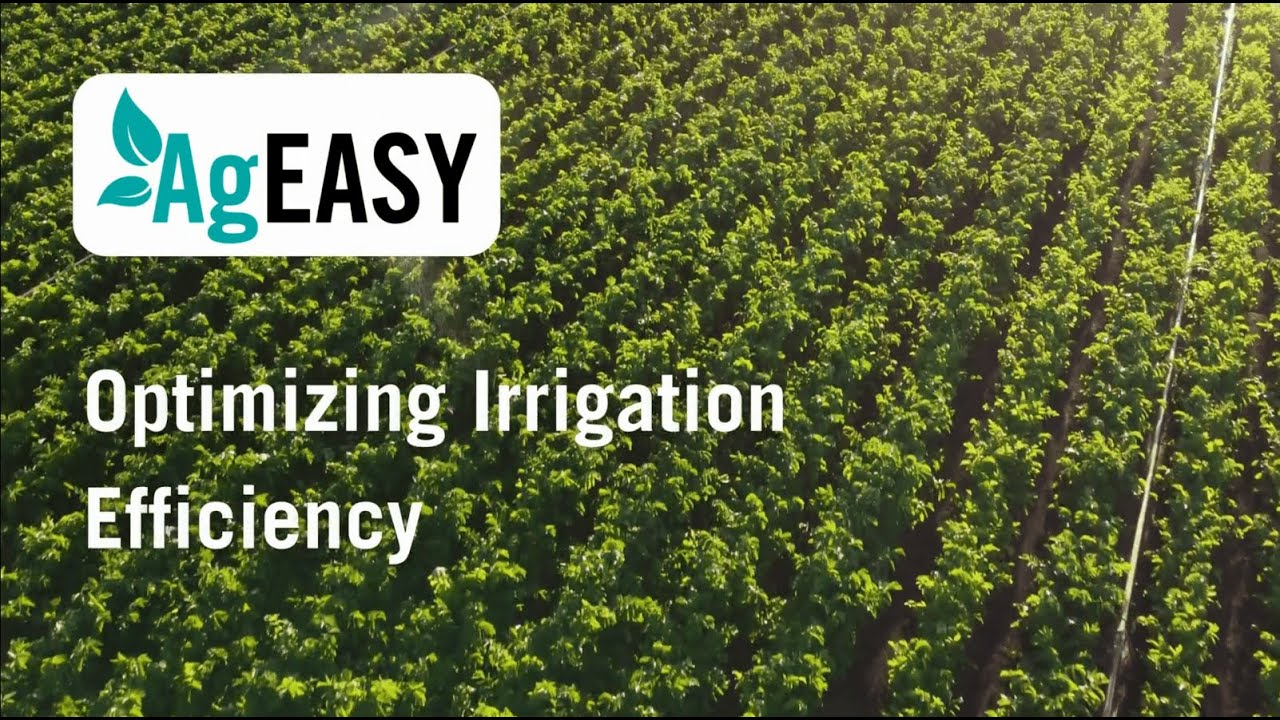 Optimizing Irrigation Efficiency