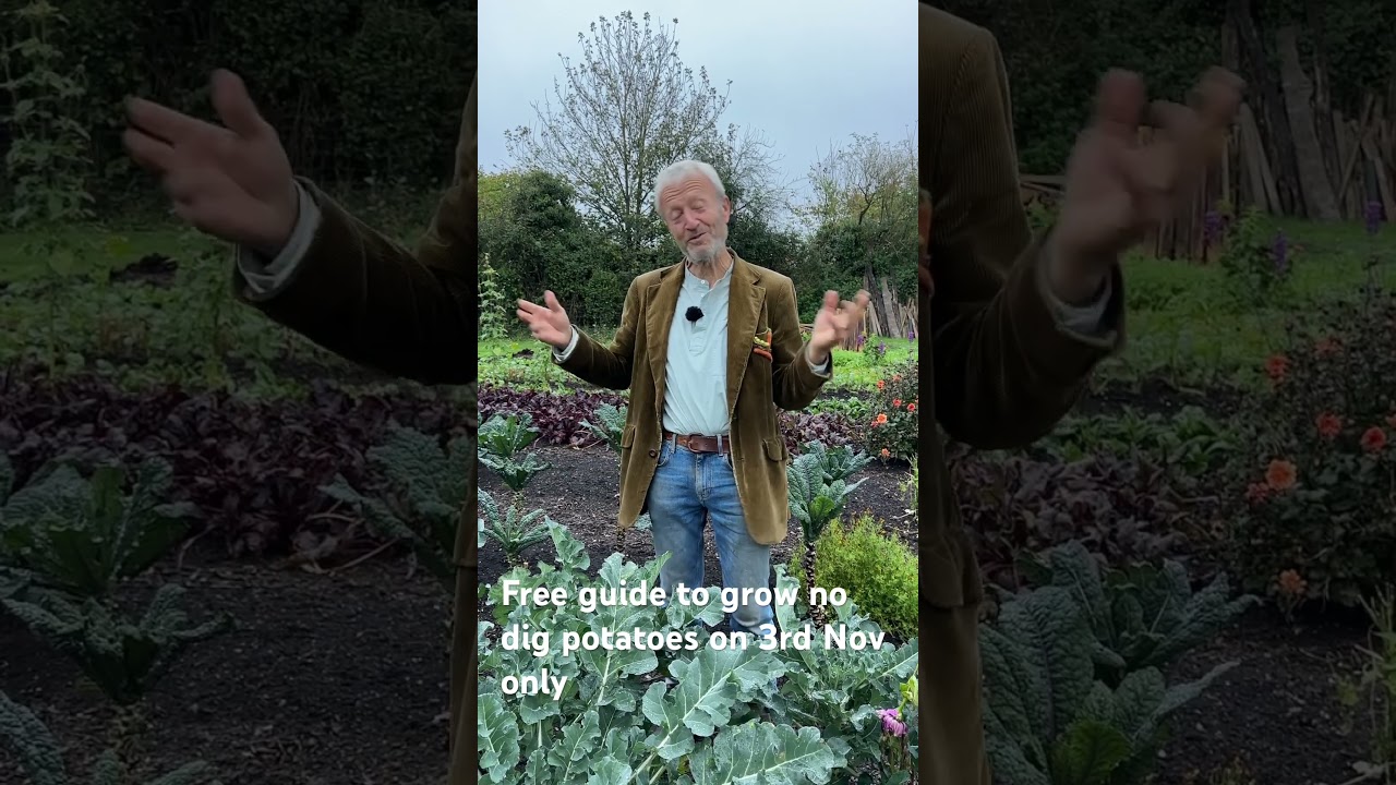 Free Potato Grow Guide on No Dig Day 3rd November