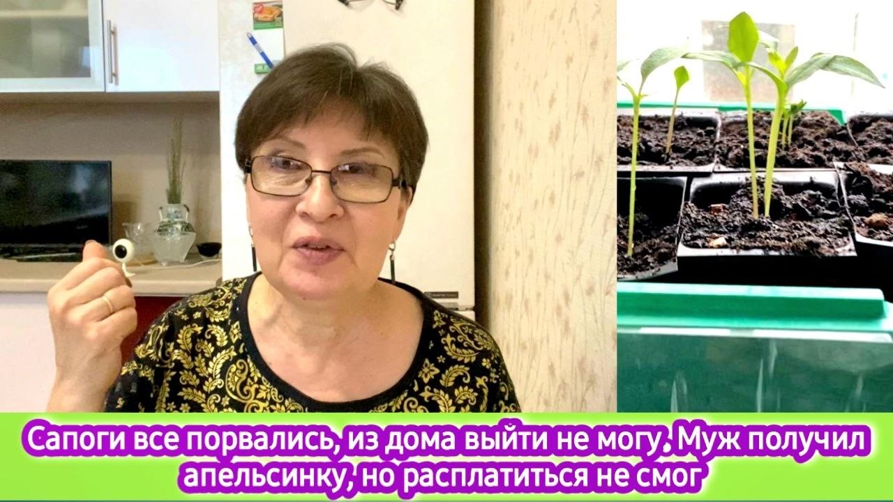 Сапоги все развалились, из дома выйти не могу. Муж получил апельсинки, но расплатиться не смог