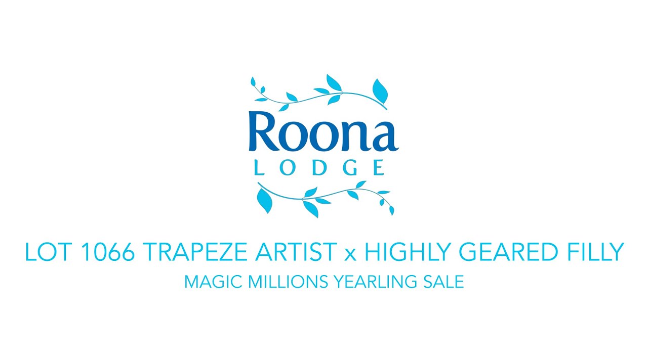 Lot 1066 Trapeze Artist x Highly Geared filly - Roona Lodge